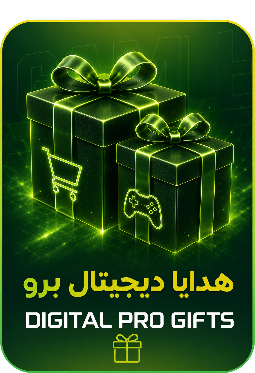 Digital Pro Gifts